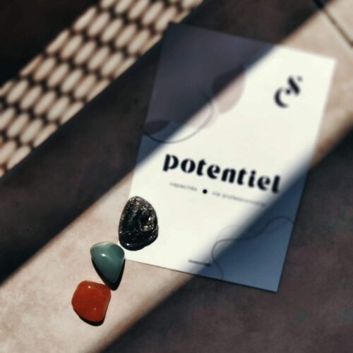 Kit Potentiel - Capacités & vie professionnelle